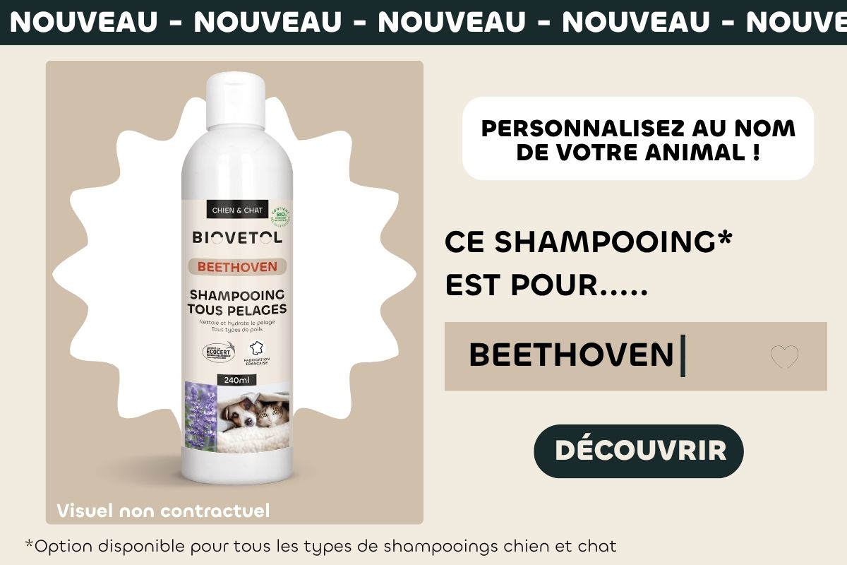 alt champooing personnalis&eacute;
